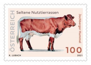 Scott #2936 Rare Cow Breed MNH