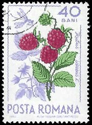 ROMANIA   #1705 USED (2)