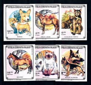 [95894] Madagascar Malagasy 1991 Animals Pets Cats Dogs Horses Imperf. MNH