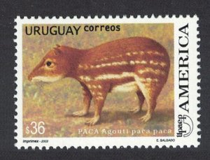 Uruguay Paca paca Rodent 36p 2003 MNH SG#2856 MI#2770