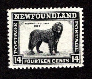 NEWFOUNDLAND  SC# 194  VF/MNH