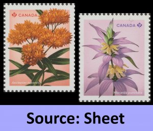 Canada 3413a-3413b Wildflowers P set 2 (from sheet) MNH 2024