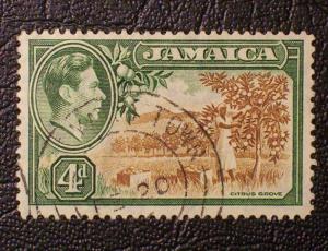 Jamaica Scott #122 used