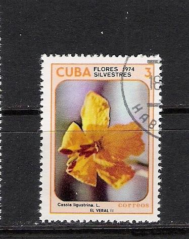 CUBA 1921 VFU FLOWER M823