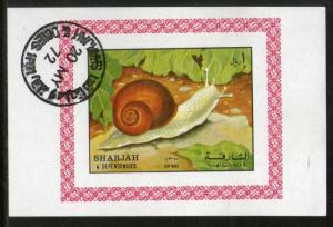 Sharjah - UAE Snail Reptiles Insect Fauna M/s Cancelled # 4138