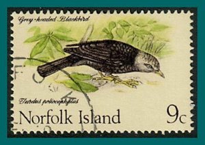 Norfolk Island 1970 Birds 1,Thrush, used #132,SG109