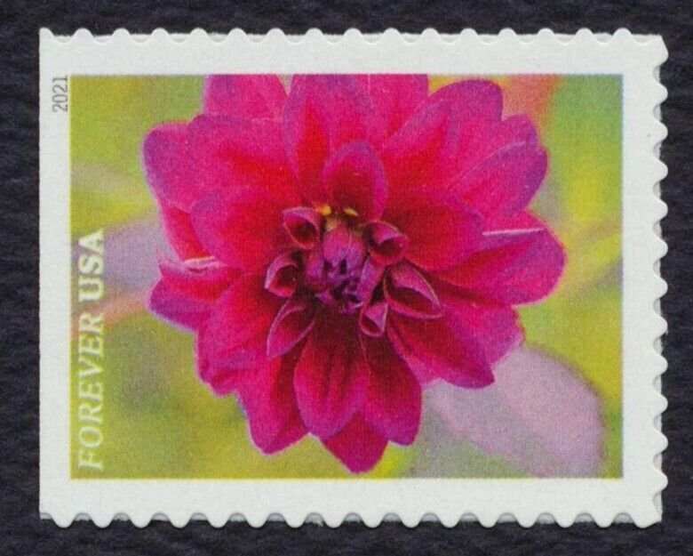 #5558-5567 Garden Beauty, Singles, Mint **ANY 5=FREE SHIPPING**