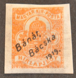 DYNAMITE Stamps: Hungary Scott #10NP1 – MINT hr