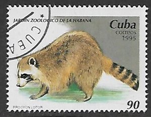 Cuba # 3679 - Raccoon - unused CTO.....{Z18}