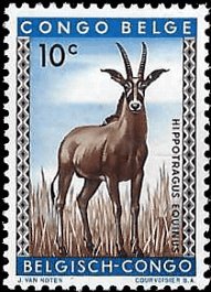 BELGIAN CONGO   #306 MNH (3)