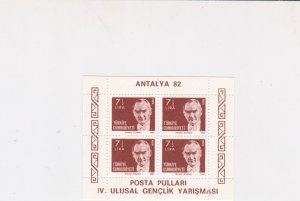 Turkey National Youth Legislation Mint Never Hinged Stamps Sheet R17704