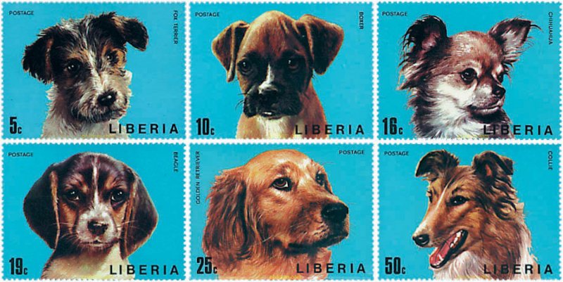 50967 MNH LIBERIA 1974 PERROS DE RAZA