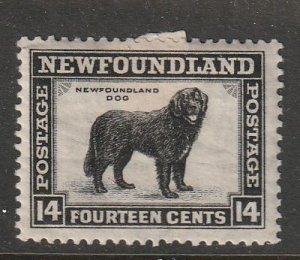 Newfoundland #194 Mint OG HR    (~2219)