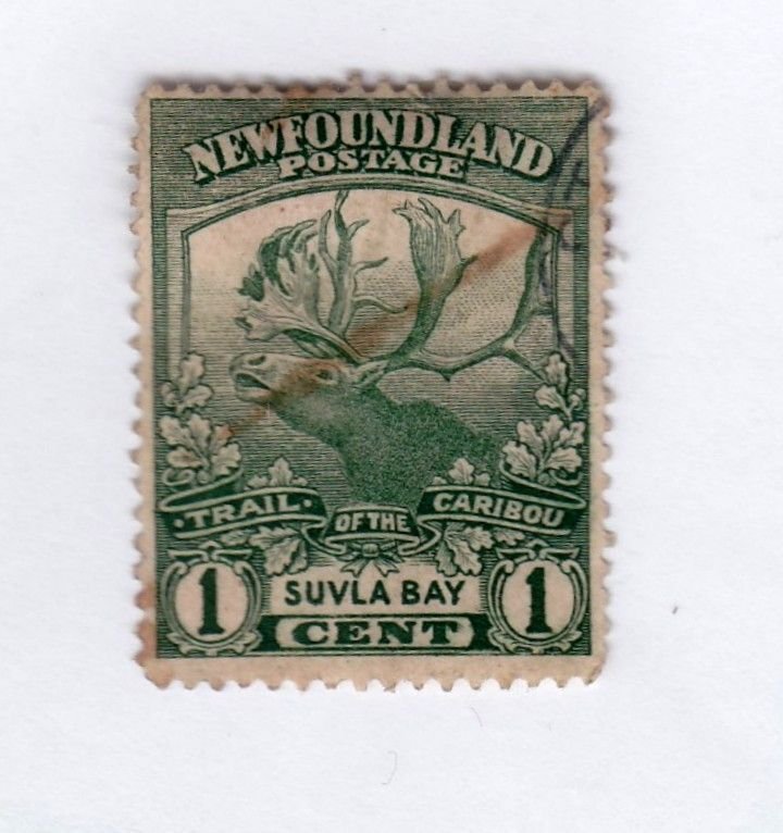 Newfoundland     115           used