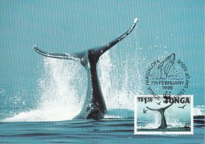 Tonga 1996 Maxicard Sc #917 1.50pa Humpback whale WWF