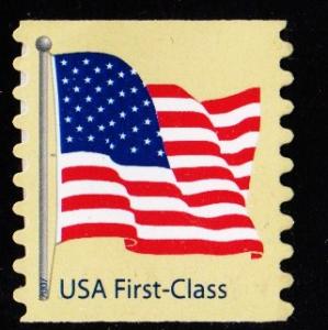 #4134 Flag  ND S/A Perf 8 1/2  - MNH