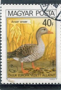 Hungary 1980 BIRD Airmail Used Scott C229