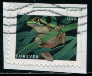 5398 US (55c) Frogs - Squirrel Tree Frog SA, used on paper