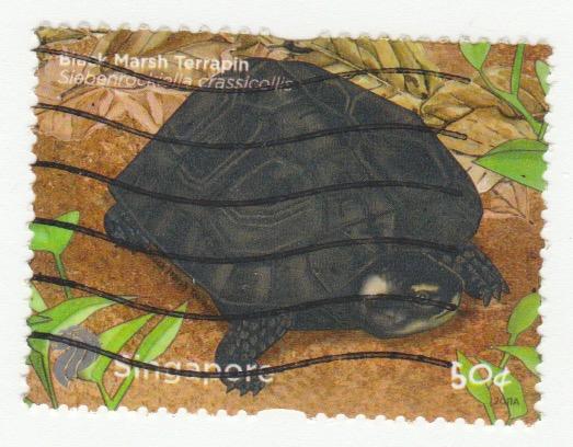 Scott # 1480 turtle