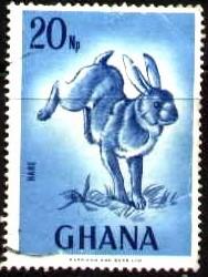 Cape Hare, Ghana stamp SC#296 used