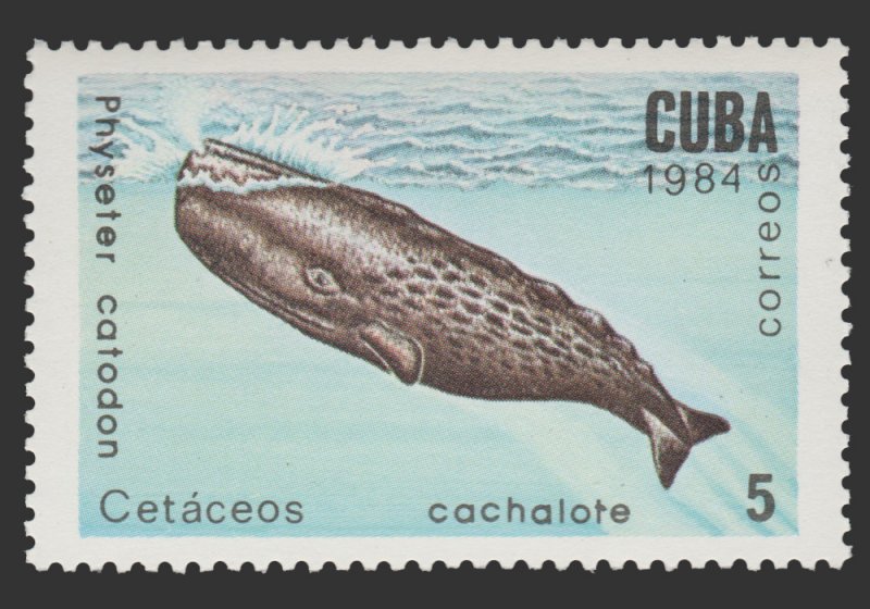 LATIN AMERICA 1984. SCOTT # 2679. UNUSED TOPIC: SEA LIFE