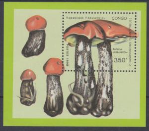 XG-AN790 CONGO BRAZZAVILLE - Mushrooms, 1990 Nature, Champignon MNH Sheet