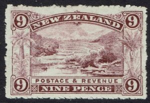 NEW ZEALAND 1902 PICTORIAL 9D WMK STAR NZ PERF 14