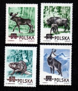 Poland 660-663 Mint NH Wildlife!