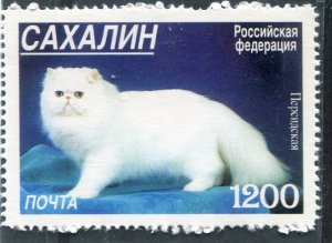 Noyta 1998 Russia Local DOMESTIC CAT 1 value Perforated Mint (NH)