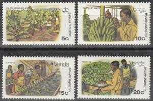 Venda #32-5 MNH VF (S258)