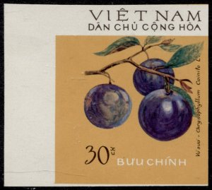 North Vietnam #771 Fruit Imperforate Issue MNH