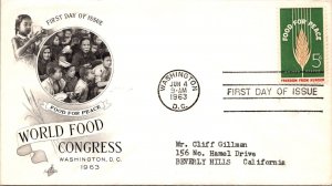 FDC 1963 SC #1231 Artcraft Cachet - Washington DC - Single - J884