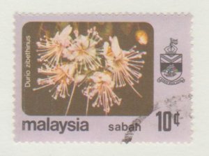 35 Durio Zibethinus - Sabah