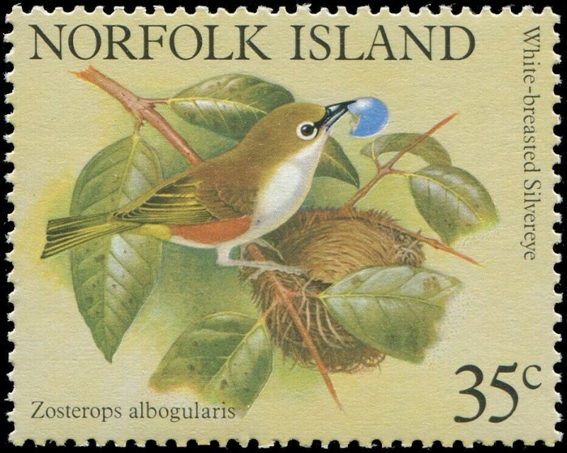 Norfolk Island 1981 Sc 287a-e Birds Whiteye CV $2.50