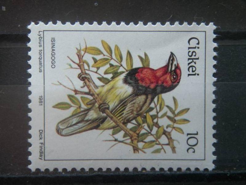 CISKEI, 1981, MNH 10c, Scott 14, Birds