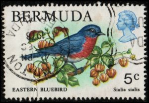 Bermuda 365 -Used - 5c Eastern Bluebird (1978) (cv $2.20) +