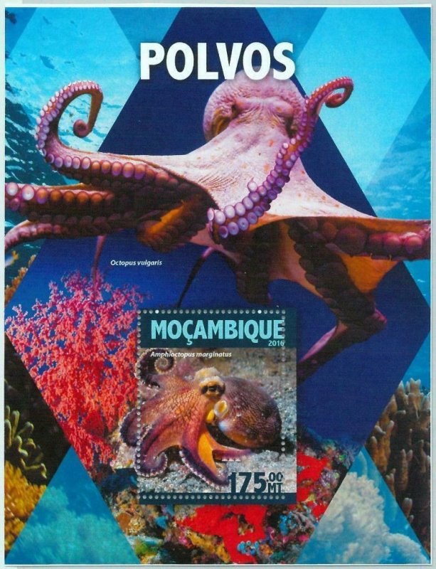 A1309 - MOZAMBIQUE, ERROR, MISPERF Souvenir sheet: 2016, Octopus, Marine Life