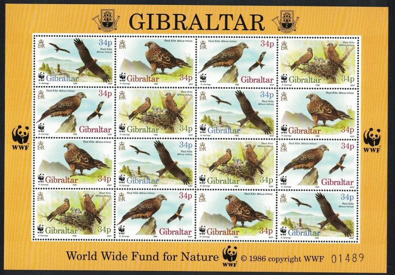 Gibraltar Birds WWF Red Kite Sheetlet of 4 sets 1996 MNH SC#716 a-d