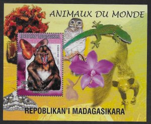 Madagascar #1416r  S/S  Butterfly and Mandrill  1999  MNH