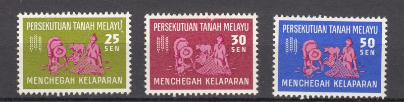 J27523 1963 fed malaya set mnh #111-3 FAO a small tone spot back 3rd stamp