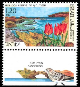 ISRAEL Sc 1154 VF/MNH w/TAB -1993 1.2s - Hof Dor Reserve - Nice Stamp