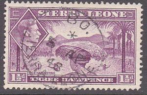 SIERRA LEONE 1946 GVI 1½d - BO cds..........................................7115