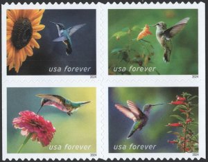 NEW ISSUE (Forever) Garden Delights Booklet Block of Four (2024) SA