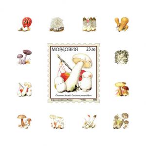 RUSSIA LOCAL SHEET IMPERF MUSHROOMS