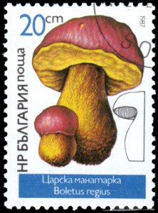 Bulgaria 3233 - Cto - 20s Royal Bolete Mushroom (1987)