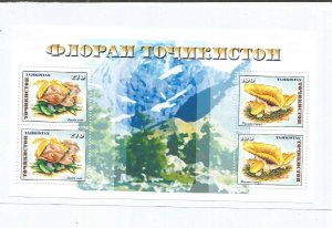 TADZHIKISTAN - 1999 - Mushrooms - Perf Souv Sheet - M L H