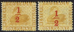 WESTERN AUSTRALIA 1884 SWAN ½ ON 1D BOTH PERF 12 AND 14