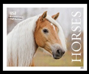 US 5895a Horses E imperf NDC single MNH 2024 after June 30