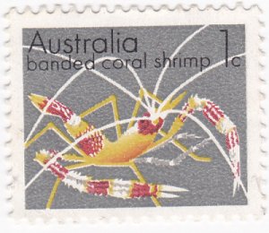 Australia 1973 Marine Life Coral Shrimp 1c used