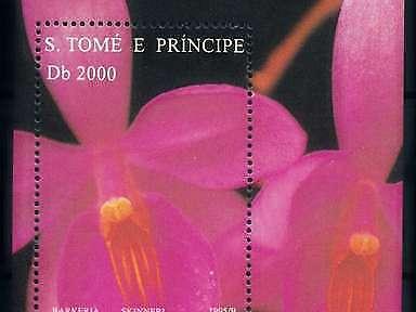 [79833] Sao Tome & Principe 1995 Flora Flowers Orchids Souvenir Sheet MNH